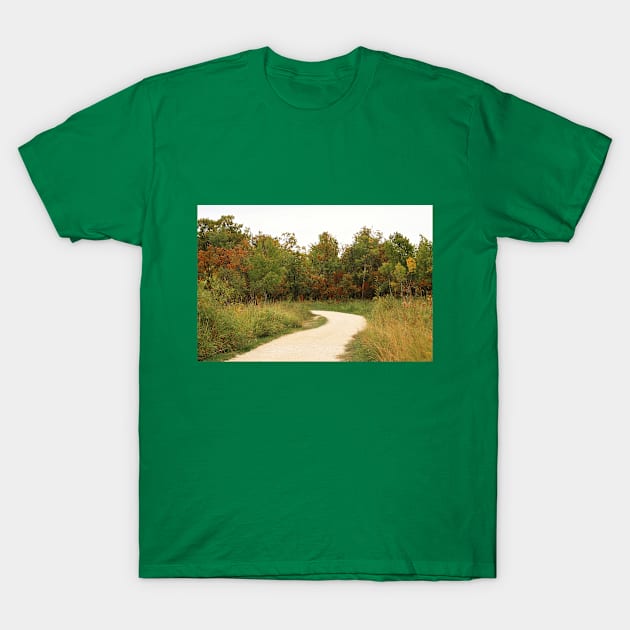 Nature Path No.2 T-Shirt by MaryLinH